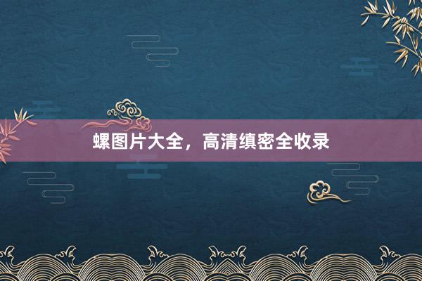 螺图片大全，高清缜密全收录